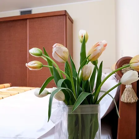 Appia Antica Hotel